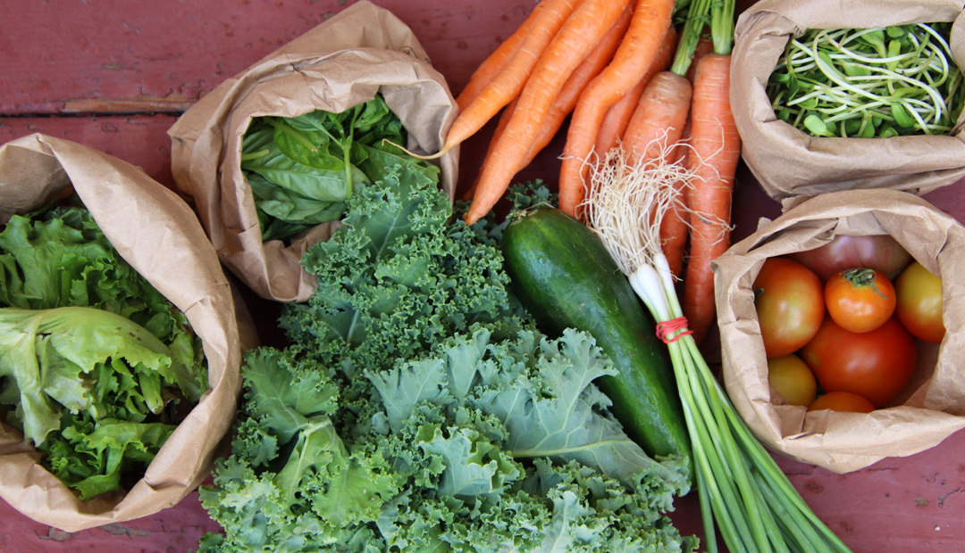 An assortment of fresh vegetables including kale, carrots, tomatoes, green onions, and greens