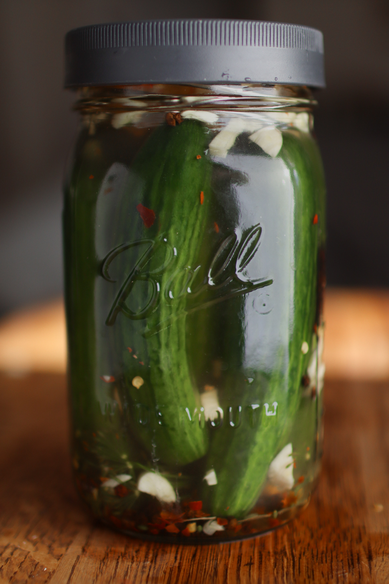 Easy Fermented Dill Pickle Recipe Quick & Crunchy Sprig & Spoon