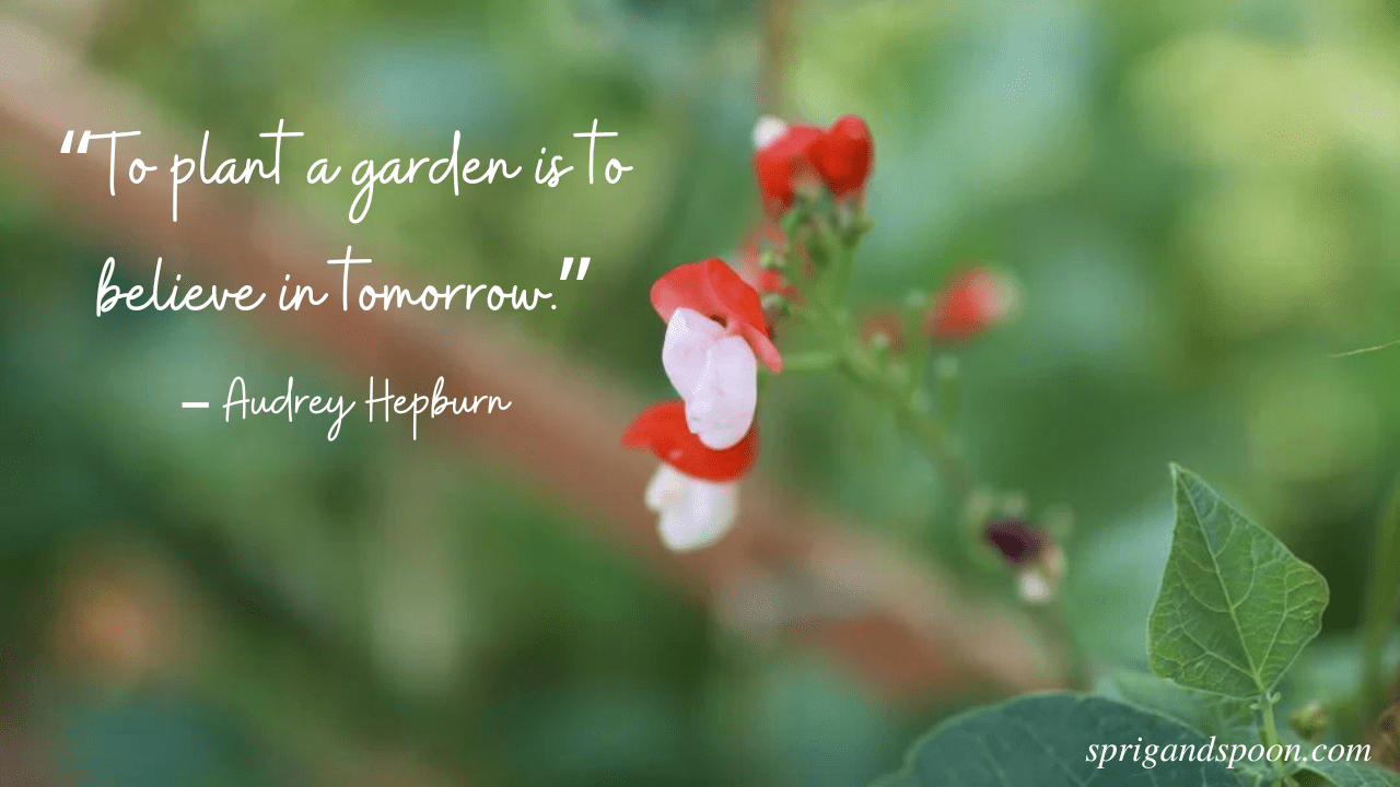53 Perfect Garden Quotes for Instagram Best Captions (2025) Sprig