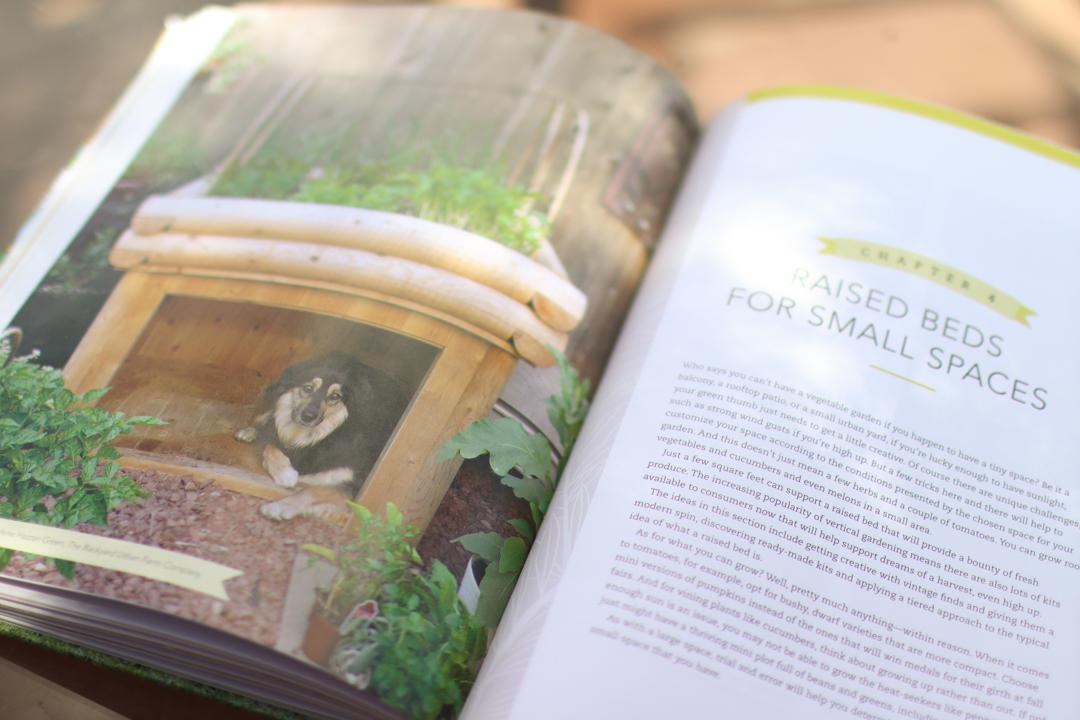 The inside of a gardening book. The book has a photo of a dog in a raised bed with a dog house underneath.