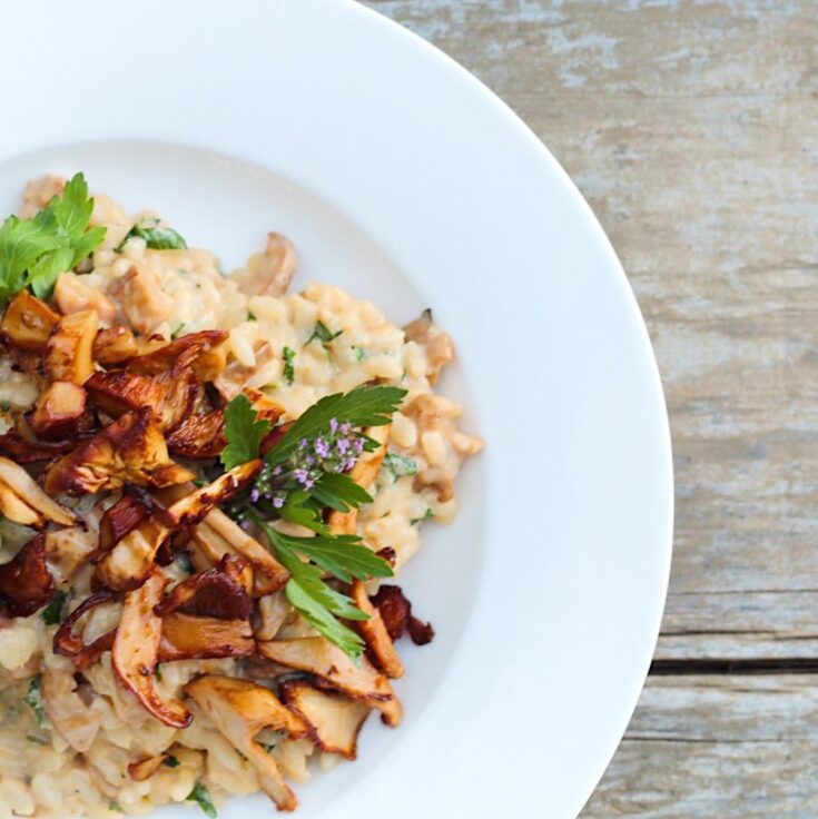 Image for Classic Chanterelle Mushroom Risotto