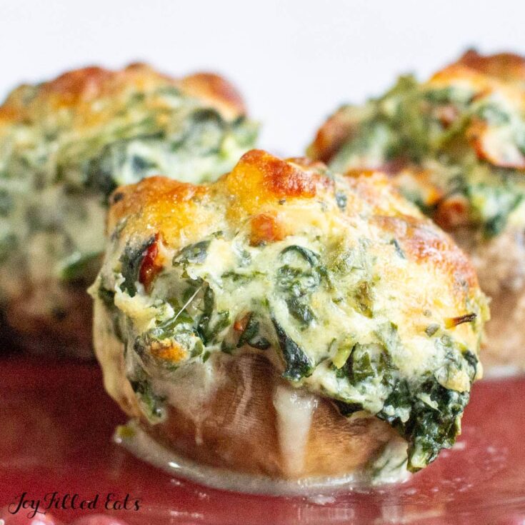Image for Tuscan Spinach Stuffed Mushrooms with Garlic, Sun Dried Tomatoes, & Cheese