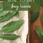 bay leaves on a baking sheet