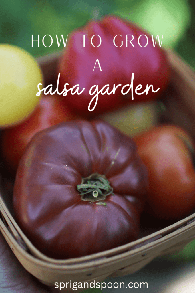 how to grow a salsa garden over a picture of tomatoes