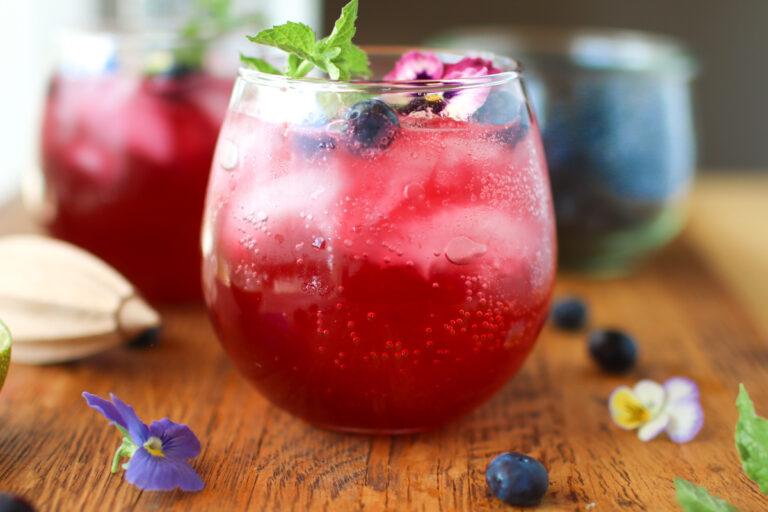 Refreshing Blueberry Gin Cocktail: Simple Gin Fizz Recipe