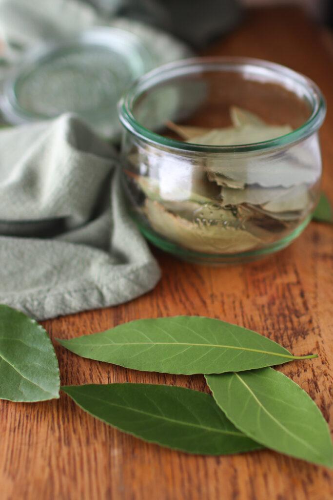 Fresh bay leaves with dry lay leaves in a jar in the background