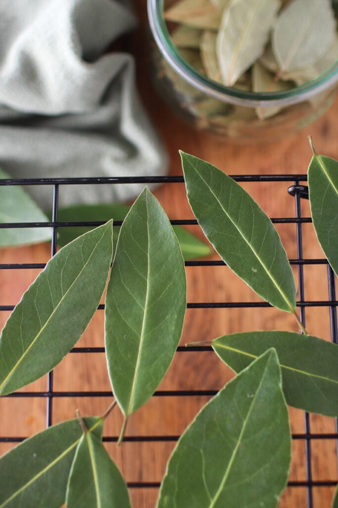 bay leaves on a cooling rack
