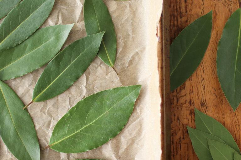 How to Dry Bay Leaves: 3 Easy Methods for Drying