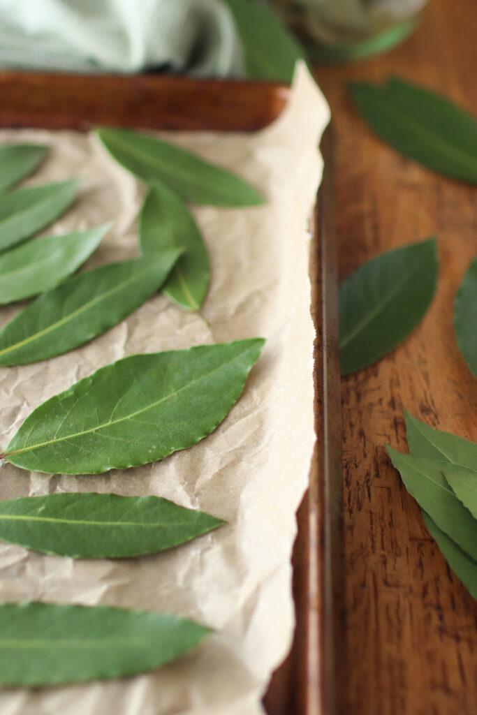 Bay leaves laying on a baking tray