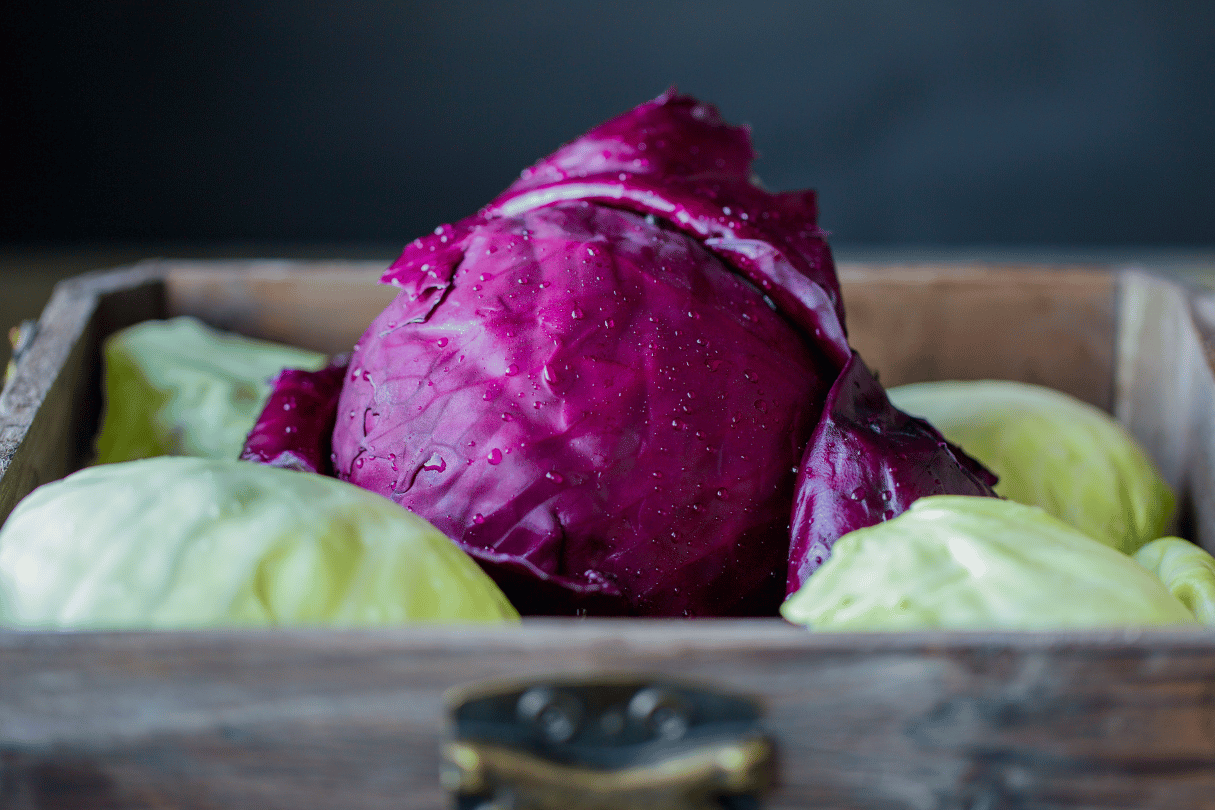 a red cabbage and four green cabbages in a crate