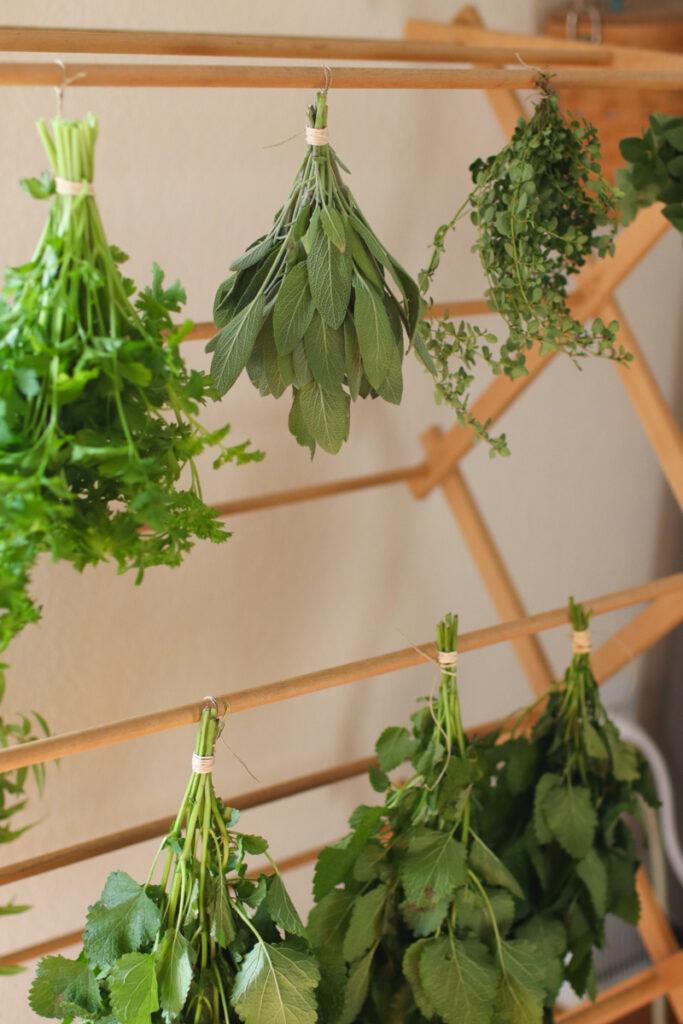 herbs drying on a wooden rack