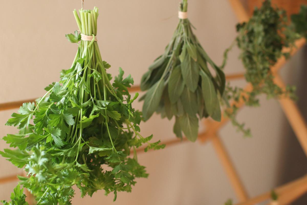 herbs hanging to dry from a wooden rack