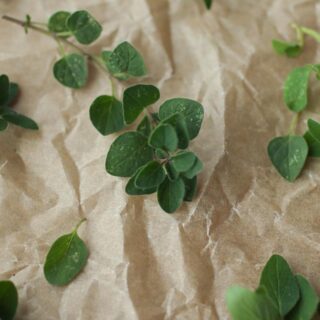 fresh oregano on parchment paper