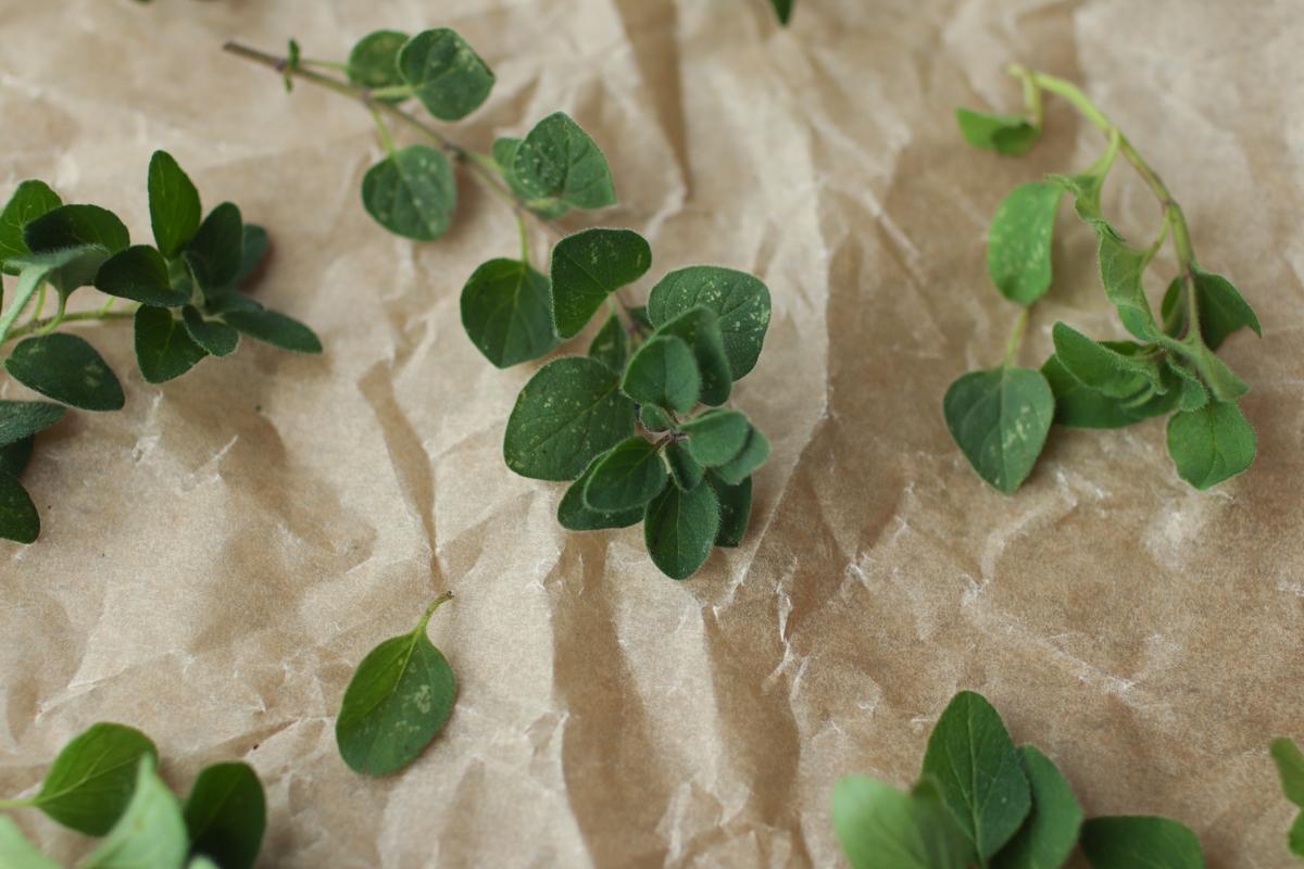 fresh oregano on parchment paper