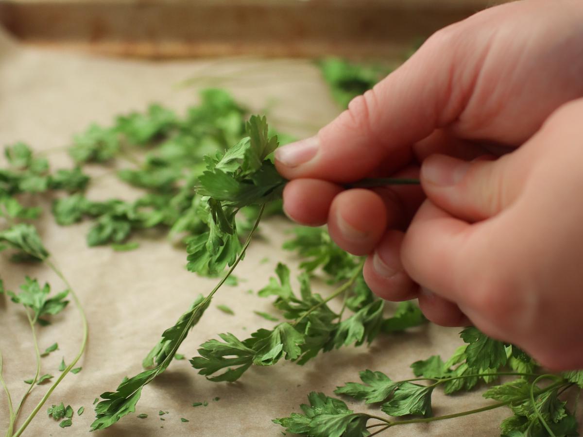a hand stripping the leaves off of dried parsley