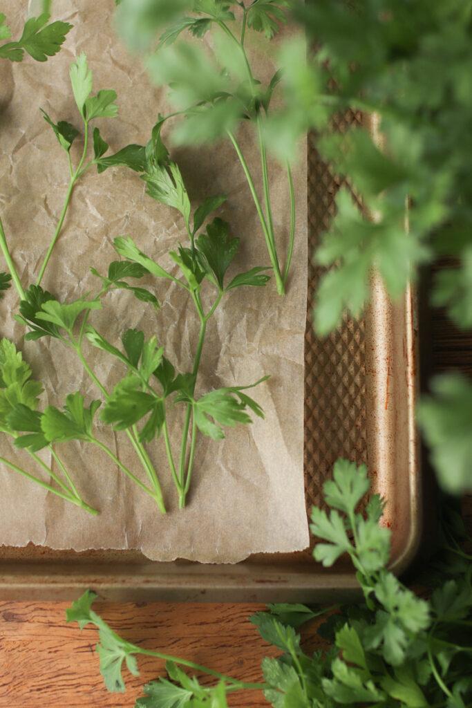 fresh parsley laying on a tray