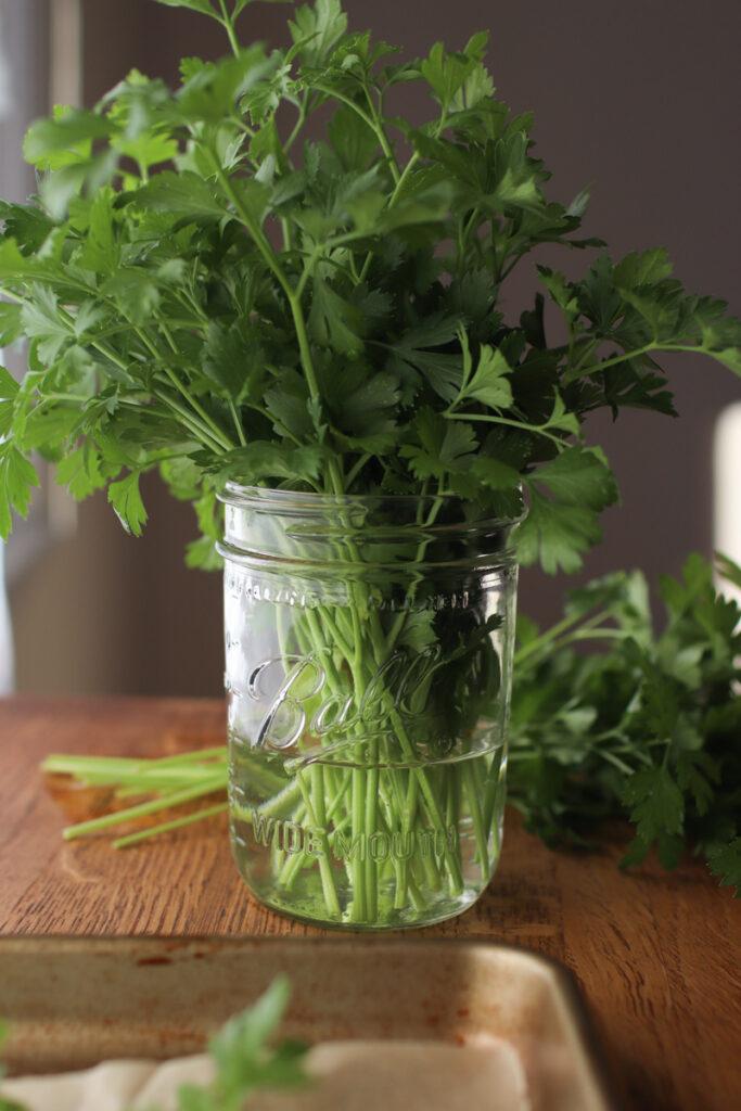 fresh parsley in a glass with water