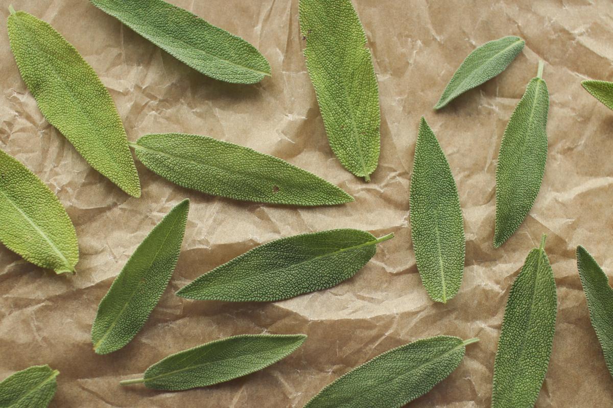 sage leaves laying on a baking tray lined with parchment paper