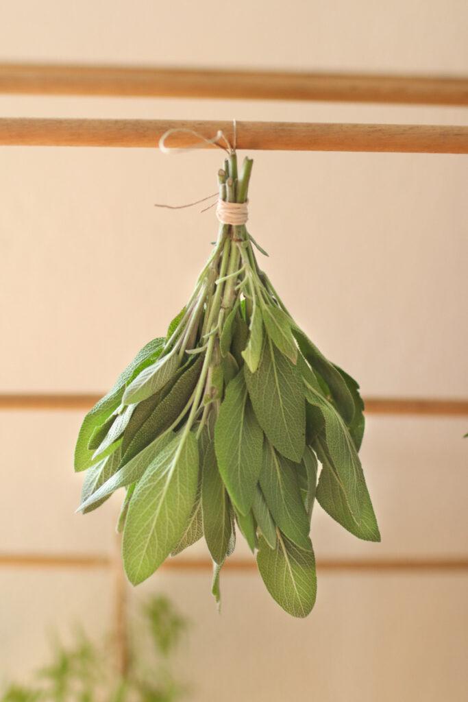 a bundle of sage hanging from a wooden rod
