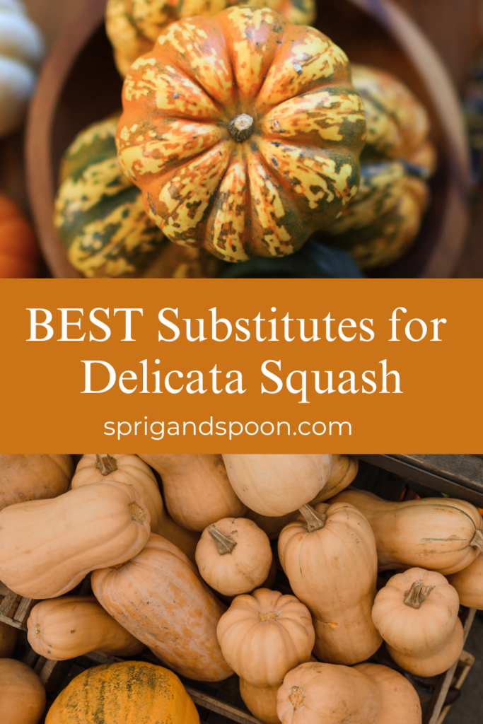 best substitutes for delicata squash for pinterest with photos of winter squashes