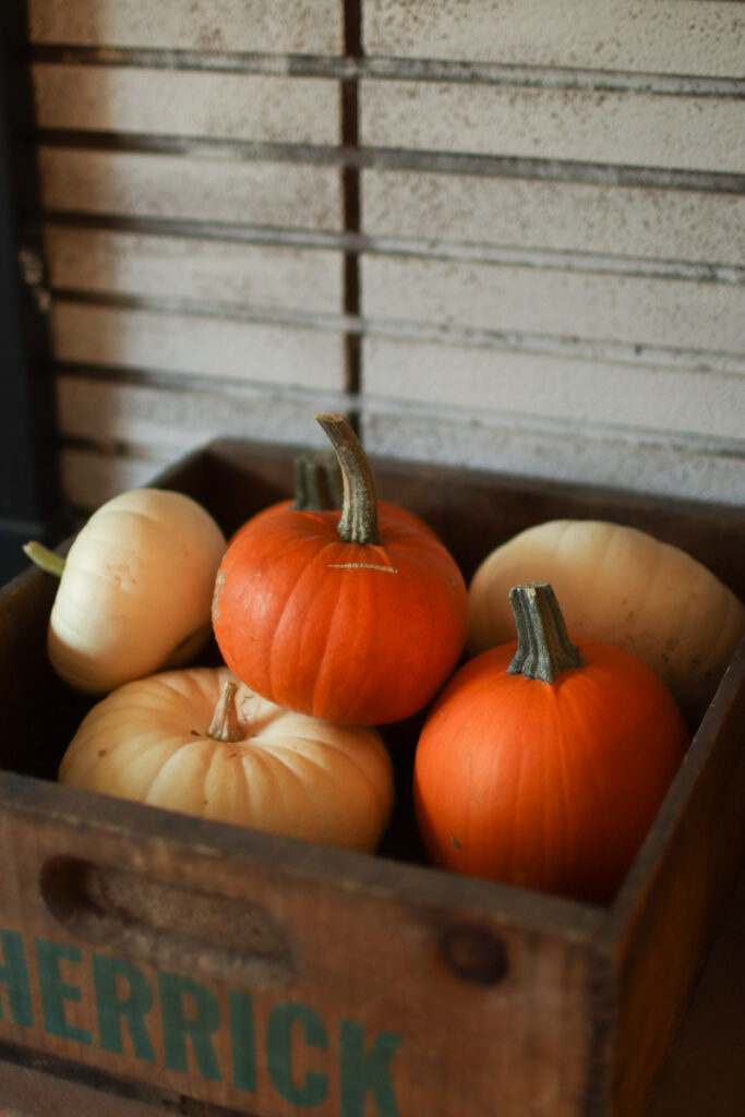 a crate of pumpkins