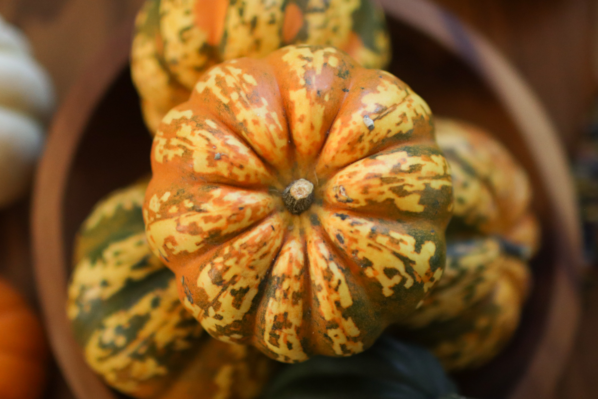 looking down on a carnival squash