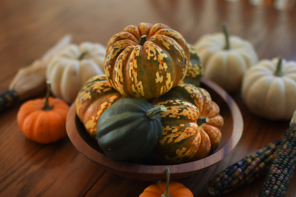 A bowl of carnival squash with pumpkins and acorn squash