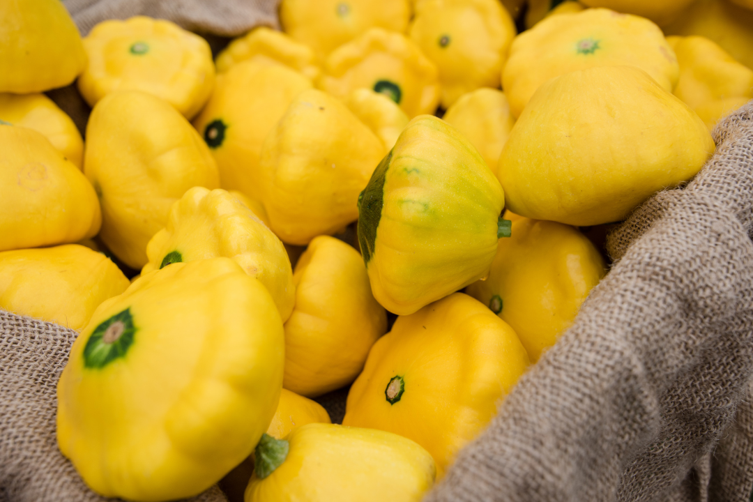 a closeup of patty pan squashes