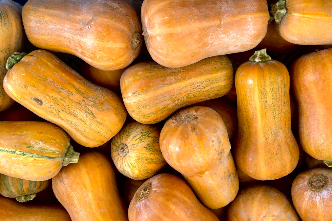 a closeup of honeynut squashes