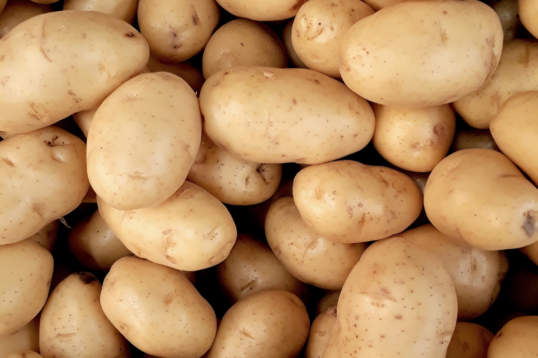 a closeup of yellow potatoes