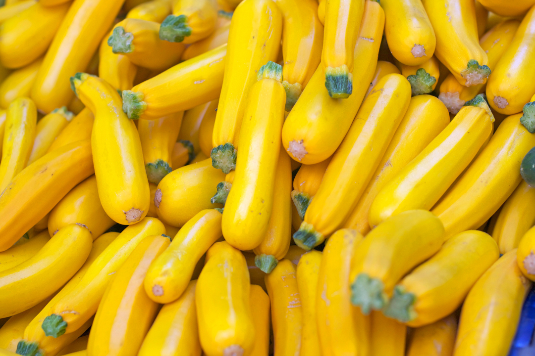 a closeup of yellow summer squash