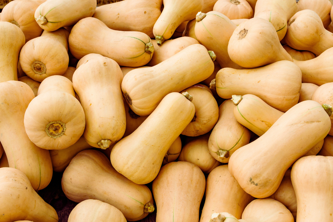 a closeup of butternut squashes