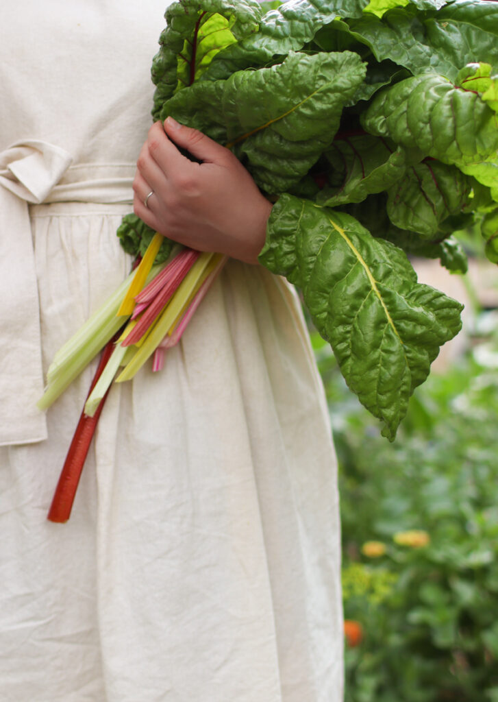 a person holding a bunch of swiss chard in a garden