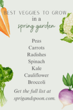 21 Vegetables to Plant in a Spring Garden (Ultimate Guide!) | Sprig & Spoon