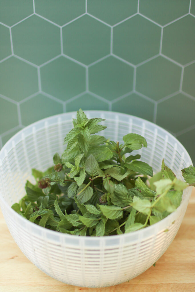 How to Freeze Mint (3 easy methods) | Sprig &amp; Spoon
