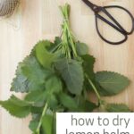 How to dry lemon balm pinterest graphic.