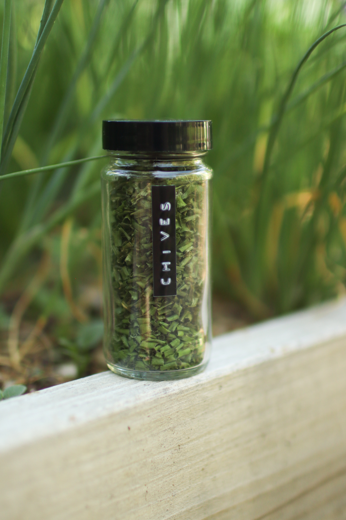 A jar of dried chives sitting on a wooden garden bed wall with chives growing in the background.