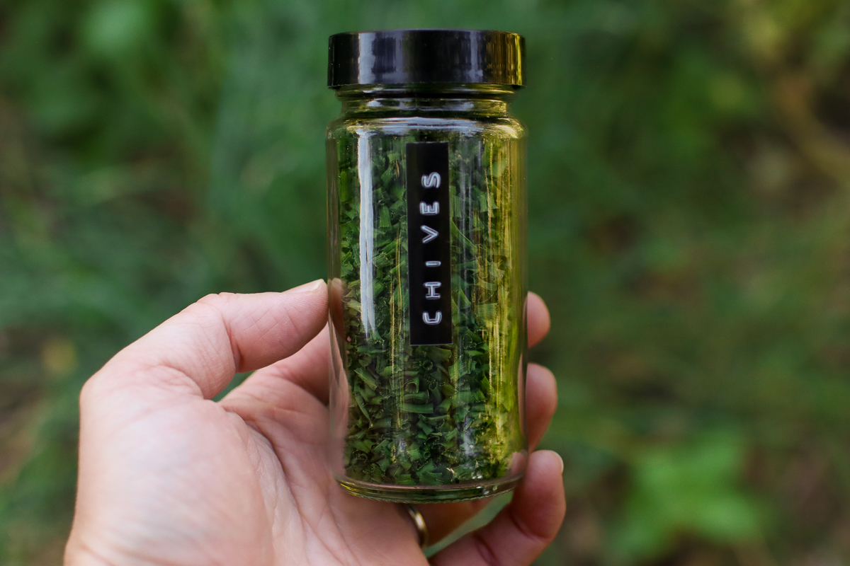 A hand holding a spice jar of dried chives over a blurred patch of chives.