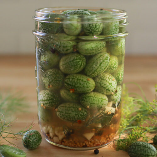 A jar of pickled cucamelons with dill and cucamelons around it.
