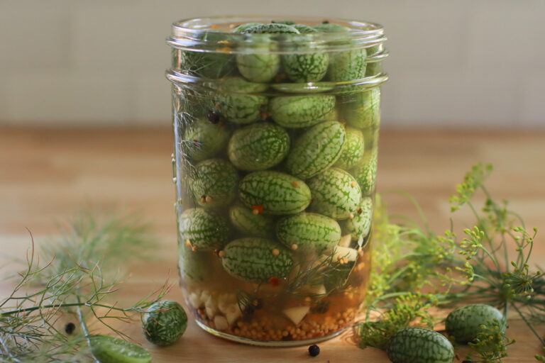 Cucamelon Pickles