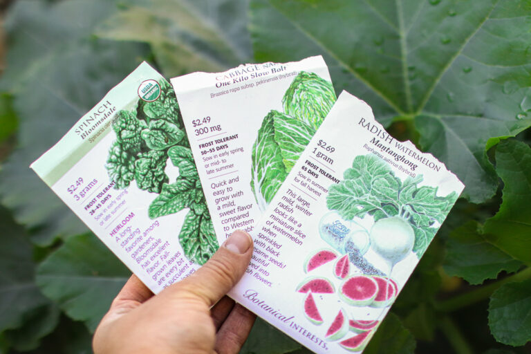 A hand holding three seed packets in a garden.