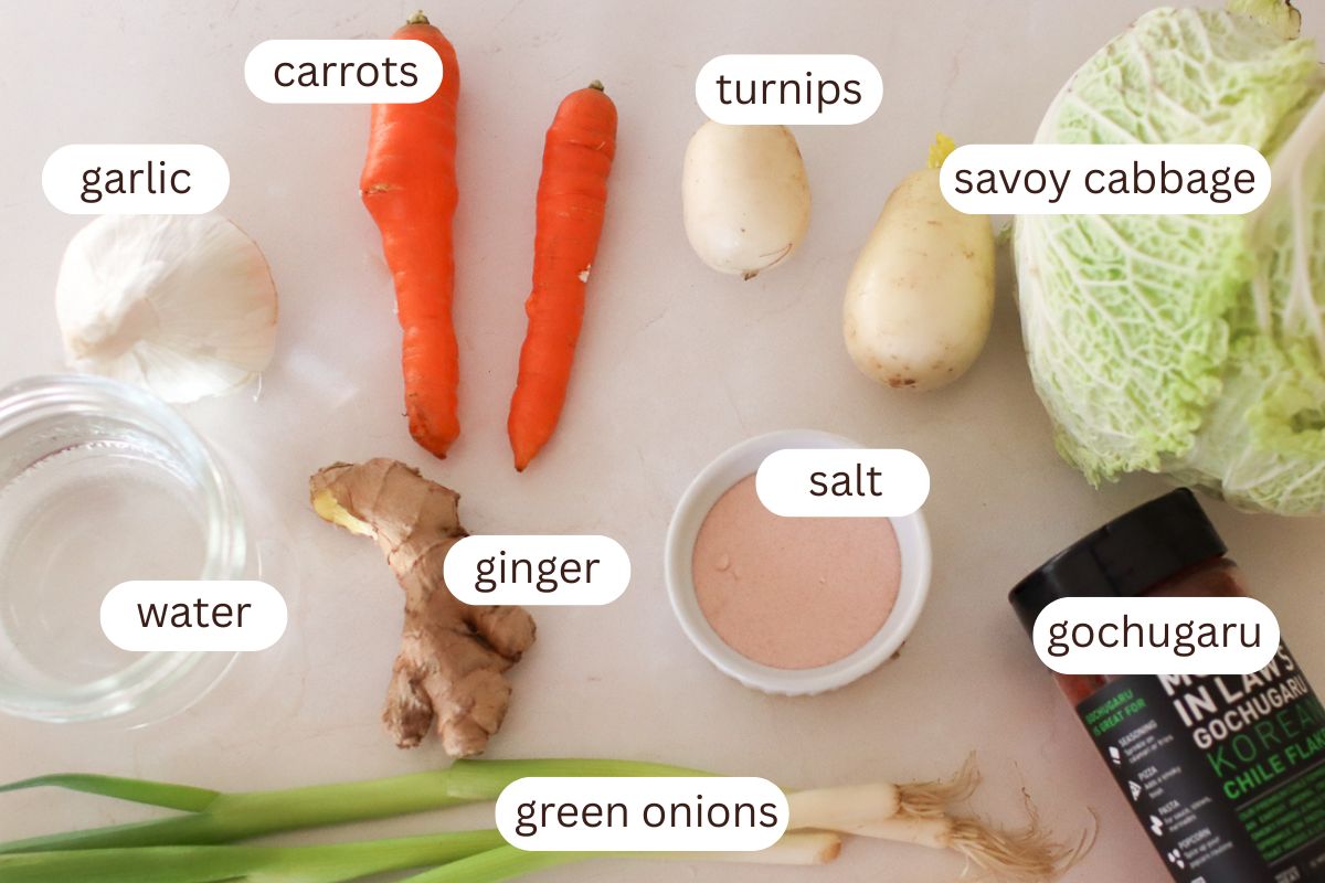 Kimchi sauerkraut ingredients labeled on a white background. 